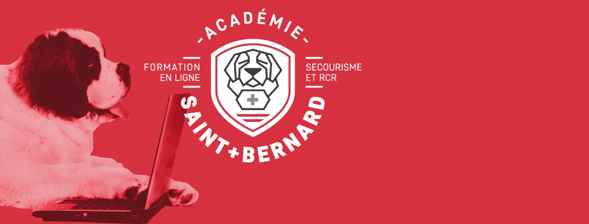 bernie-logo-asb-rouge